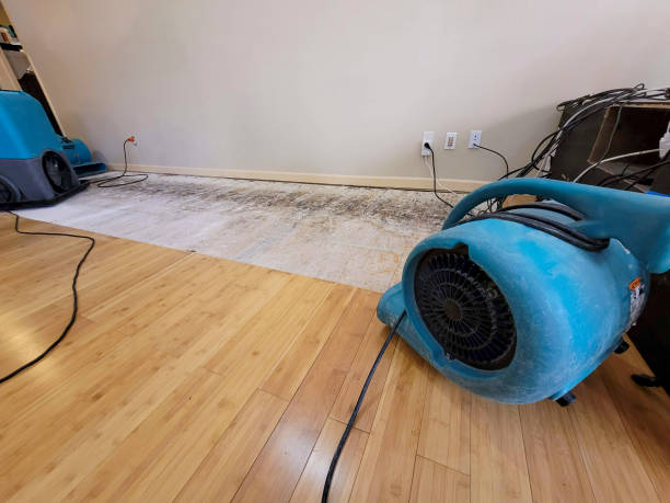 Professional Water Extraction technician working in Washington, NE
